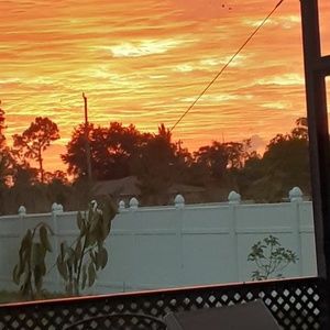 Meet your Posher, Albert